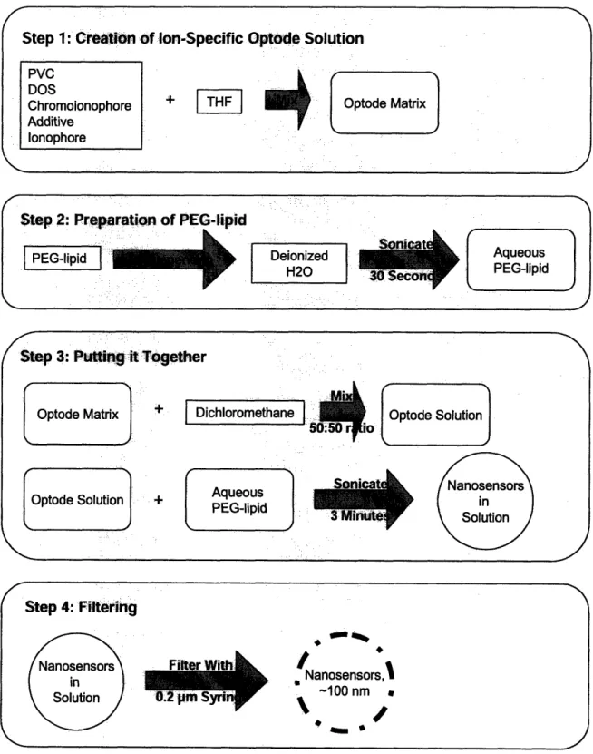 Figure 9:  Steps required  for nanosensor  fabrication