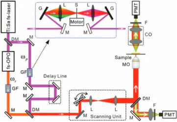 Fig. 1 Schematic diagram of the integrated fs/ps swappable CARS and multiphoton (SHG/TPEF) microscopy developed for label-free tissue imaging