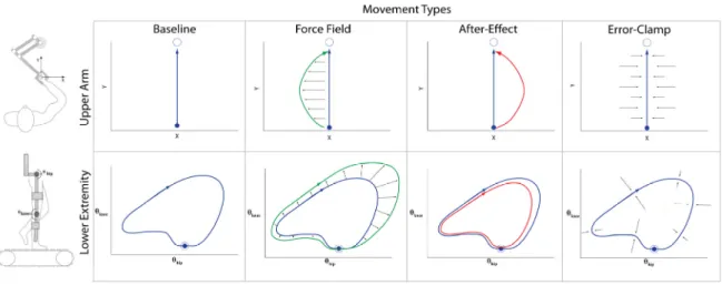 Figure 1. Comparison between the lower and upper extremity FFAP. (leftmost) Baseline Movements: In the upper extremity FFAP, subjects are asked to make rapid  point-to-point movements to a target