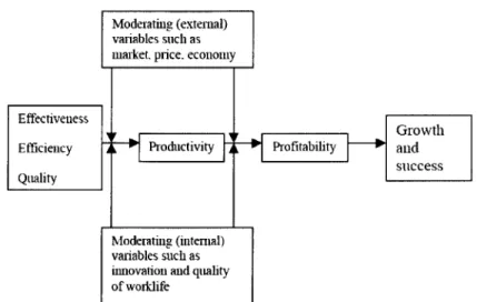 Figure 17  Sink and  Tuttle Model  for Causal  Link  between  Performance  Variables  and Success