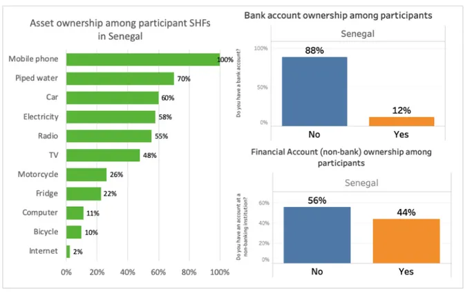 Figure 10 provides three measures of inclusion: one digital and two financial. In terms of bank  account ownership, only 12% of respondents indicated having access to a bank account 48 , while  44% hold an account in a non-bank financial institution, such 