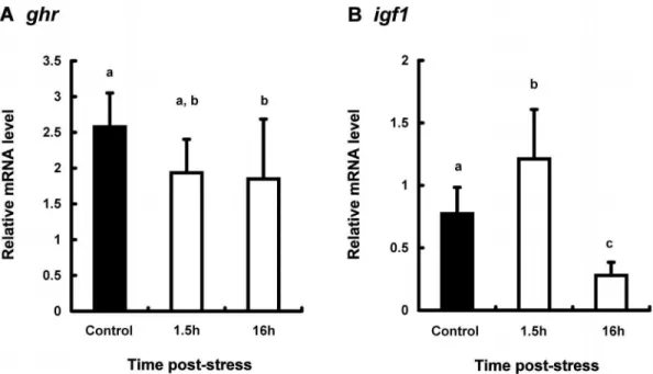 Figure 5. Expression levels of ghr mRNA in the muscle from coho salmon O. kisutch . The expressions of target gene were normalized by b-actin expressions