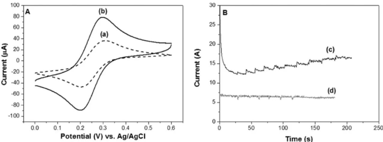 Figure 8. (A) Cyclic voltammograms (CV) of (a) bare BDD electrode and (b) NTCM-modi ﬁ ed BDD electrode (scan rate, 0.1 V/s)