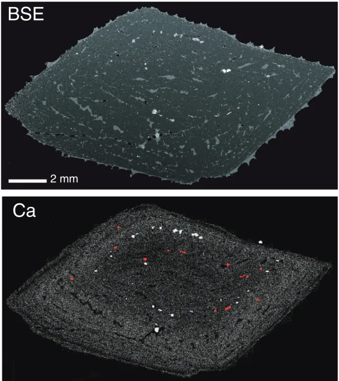 Fig. 2. Backscattered electron image (BSE) and Ca element map of a single anorthoclase crystal