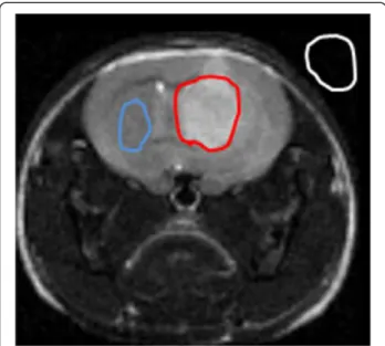Figure 2 A method of calculating CNR using ROIs. SI(t) and SI(b) are the averaged signal intensities within the tumor (red line) and a normal brain (blue line) region respectively; Noise was measured outside the mouse head (white line)