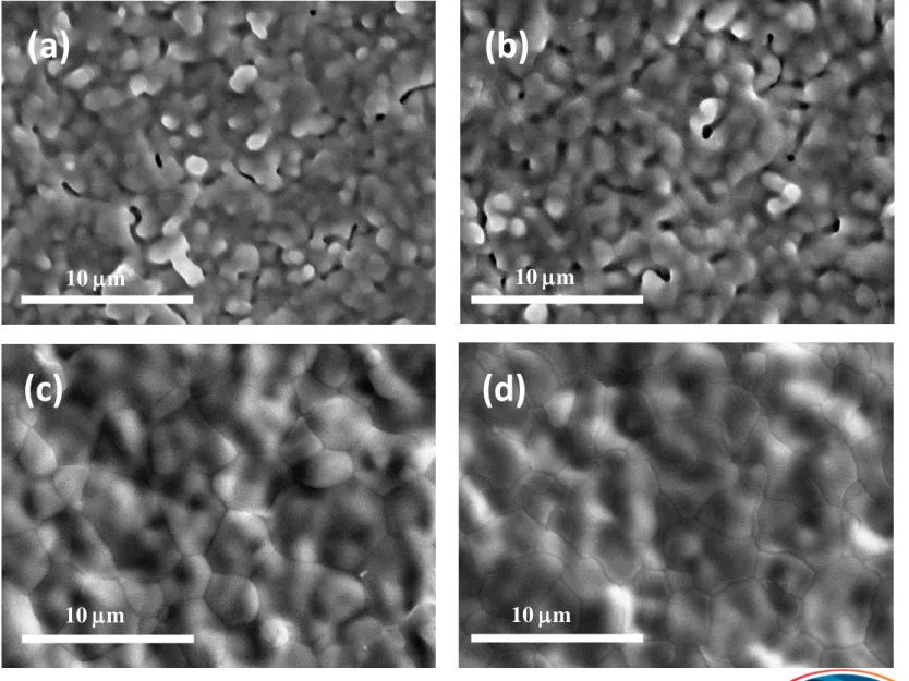 Fig. 5. SEM photos of the surface of BCZY on NiO-BCZY sintered   at (a) 1300, (b) 1325, (c) 1350, and (d) 1400 °C for 2 h in air
