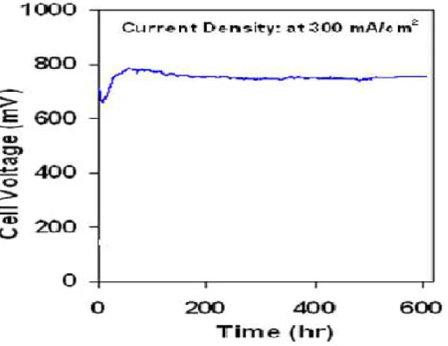 Fig. 8. Degradation of a single cell performance of BSCF-BCZY//BCZY, 10 µm thickness  //NiO-BCZY at 600   C under humid 75% H 2  in Ar with a gas flow rate of 50 ml min -1 