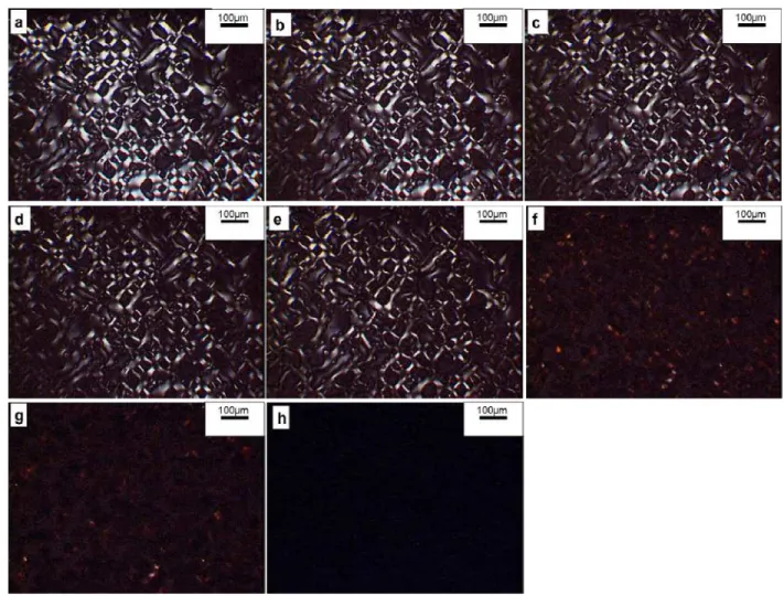 Fig. 3. Observation of crystallinity within copolymer SPEEK-HQ-45K membrane under microscope using  polar lenses