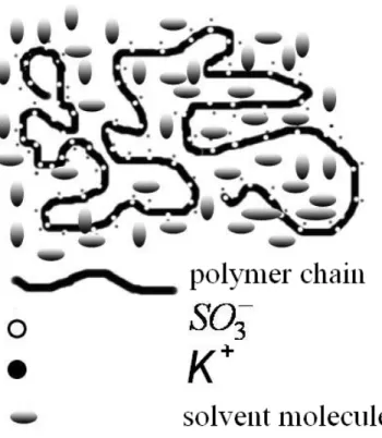 Fig. 8. Schematic cartoon of a random copolymer SPEEK-HQ-K chain in a polar solvent. 