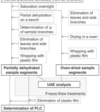 Fig. 1.  Experimental procedure flowchart. UAE, ultrasonic acoustic  emission; PLC, percentage loss of hydraulic conductivity.