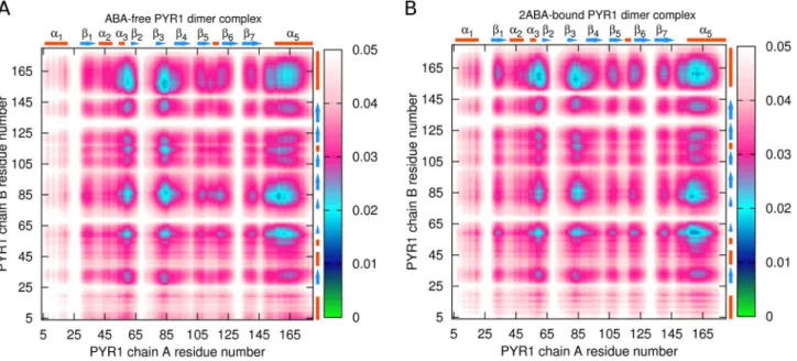 Figure 13. C a atoms correlation maps for binding area between A and B PYR1 chains in ligand-free dimer (A) and 2ABA-bound dimer (B).