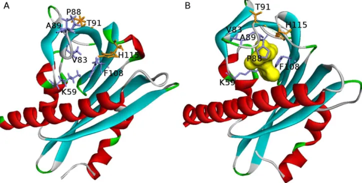 Figure 1. Abscisic acid binding by the PYR1 ligand pocket induces gate-latch-locking. (A) – Structure of the apo-PYR1, gate open [PDB ID 3K3K, chain A]