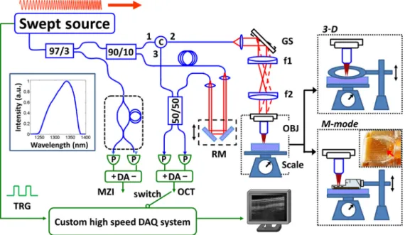 Fig. 1 Schematic diagram of the high-speed swept-source OCT system (blue: optics; green: electronics).