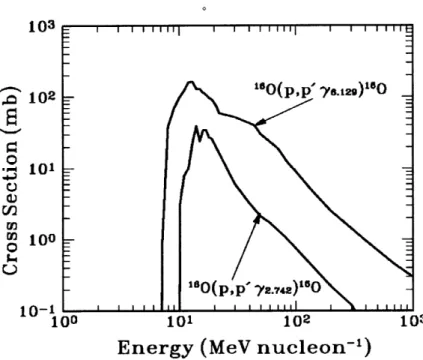 Figure  3-1:  Proton  inelastic  scattering  cross  section  for  two different  characteristic  gamma  ray lines  (6.13MeV  and  2.74MeV)