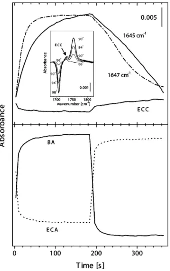 Fig. 12 Time dependence of the signals at (top) 1645 (bold line) and 1734 cm 1 , and (bottom) 1707 and 1757 cm 1 of the corresponding benzaldehyde (BA) vs