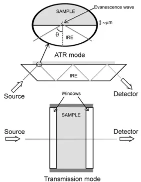 Fig. 1 Principle path of IR-beam in transmission IR and ATR-IR.