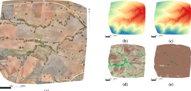 Figure 2. We generated orthomosaic models from multispectral images corresponding to (a) RGB, (b) DSM, (c) DTM, (d) NDVI, and (e) DEVM