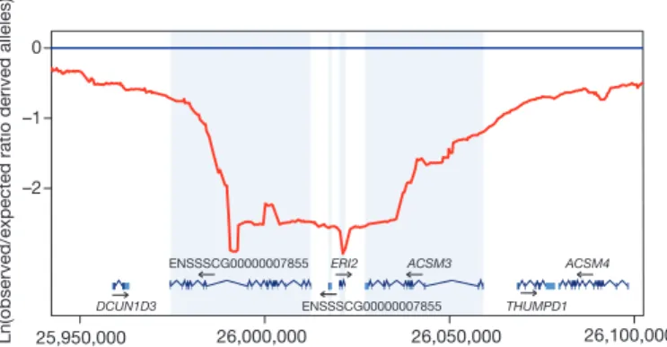 Figure 4 | Putative selective sweep region around the ERI2 gene on SSC3.