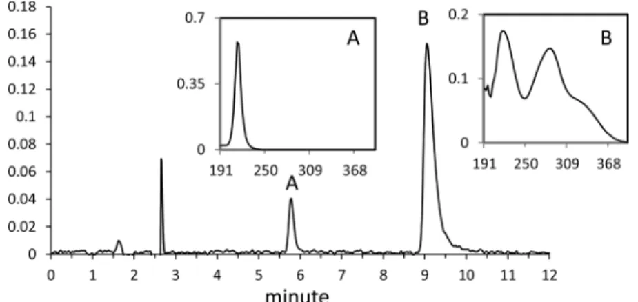 Figure 1. HPLC/UV chromatogram of an aqueous solution of FOX-12 (50 mg L −1 ) at 210 nm: (A) guanylurea and (B) dinitramide