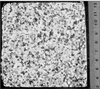 Fig. 3. Thin section of the ice viewed through cross- cross-polarized filters showing the columnar grain  structure