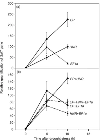 Figure 3   Expression stability of 10 selected reference genes calculated  by geNorm PLUS  in 15 samples based on qPCR data