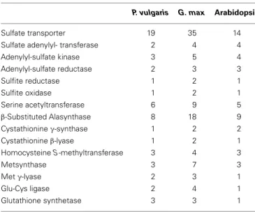 Table 2 | Number of genes coding for sulfate transporters and sulfur metabolic enzymes in the genomes of P