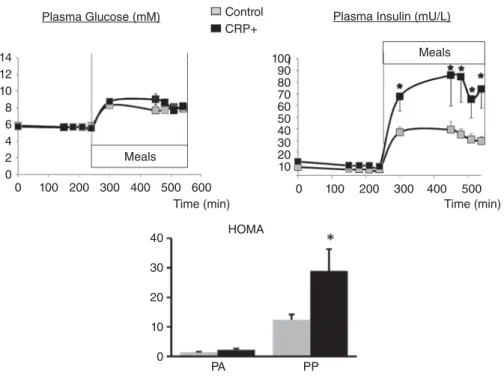 Figure 2. Glycaemia, insulinaemia and HOMA-IR index during the metabolic study