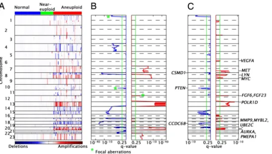 Fig. 1. Chromosomal instabilities in colon cancer. (A) Rows represent SNPs and  col-umns represent samples