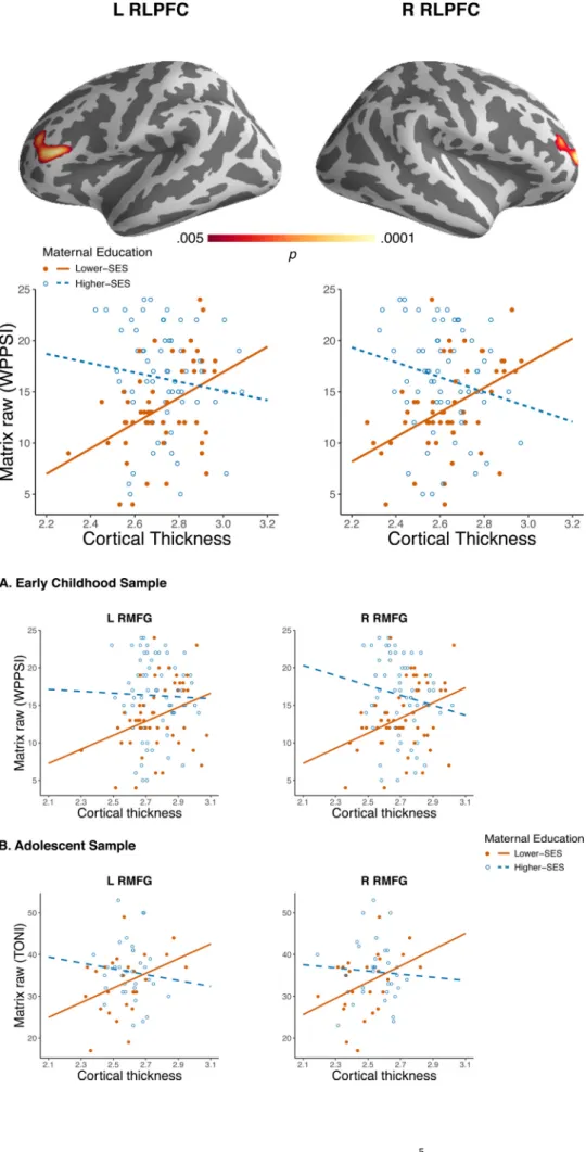 Fig. 2. Interaction between matrix reasoning and maternal education on whole brain  cor-tical thickness in the early childhood sample.