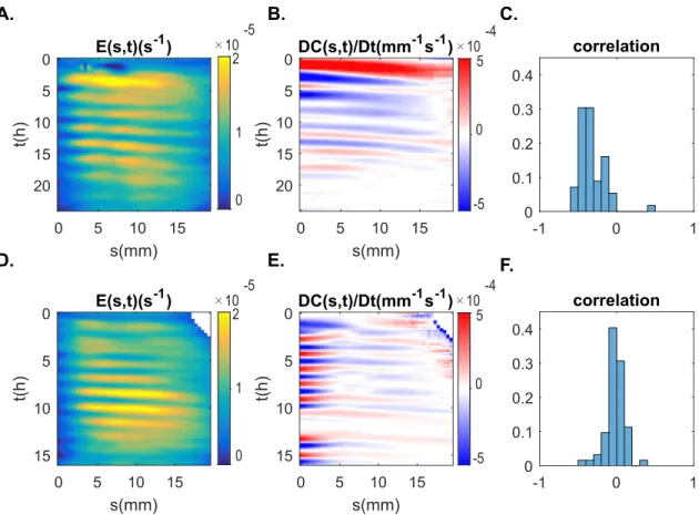 Fig 8. Relative elongation growth rate Eðs; _ tÞ and curvature variation DC(s, t)/Dt of two indivduals coleoptiles