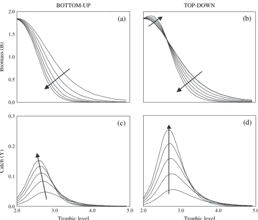 Figure 2. The impact of ﬁshing on biomass (top) and catch (bottom) trophic spectra for bottom-up (left) and top-down (right) control (arrows indicate the eﬀects of increasing ﬁshing pressure).