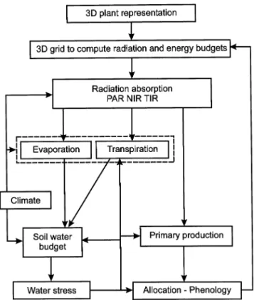 Fig. 1. Processes computed in the TREEGRASS model.