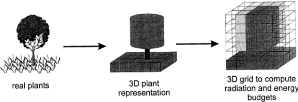 Fig. 2. Spatial representation of plants in TREEGRASS. The second picture shows the simple plant structural features used to represent trees (i.e