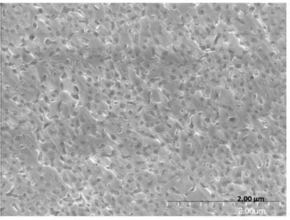 Figure 2. SEM Micrograph of a CuWO 4 thin-film.