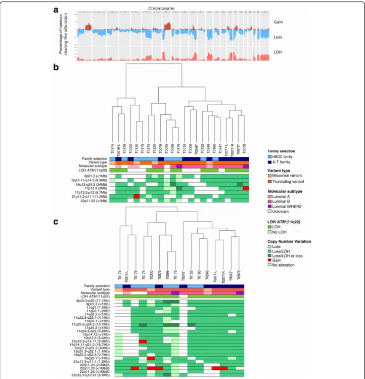 Fig. 2 Copy number variation profiles of ataxia-telangiectasia mutated (ATM)-associated tumours analysed with the OncoScan array