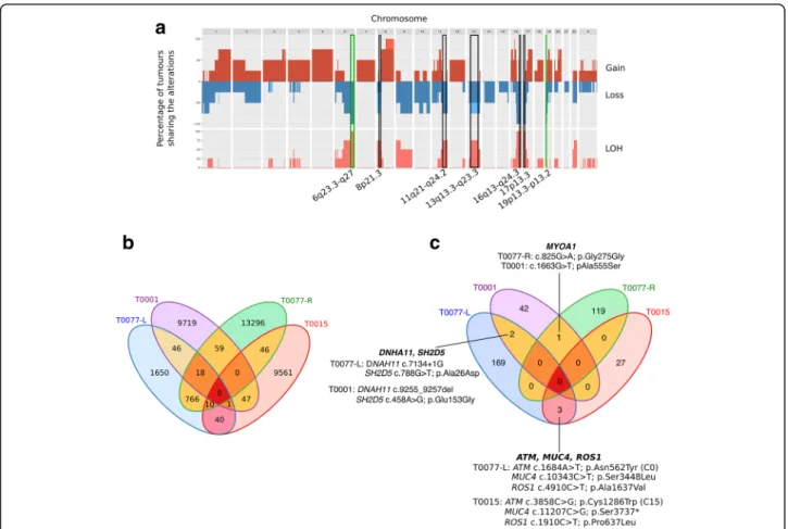 Fig. 3 Copy number variation and single-nucleotide variant (SNV) profiles of ataxia-telangiectasia mutated (ATM)-associated tumours obtained by deep whole-genome sequencing (WGS)