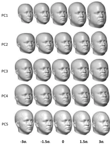 Fig. 5.  Shape variations for males and females combined along the first five principal 