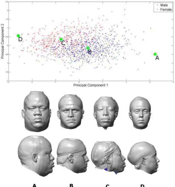 Fig. 9.  Scatter plot of mapped weights on the first and second principal components by gender,  where B and C denote the nearest neighbors to the average male and female, A is the furthest to  B in males and D is the furthest to C in females