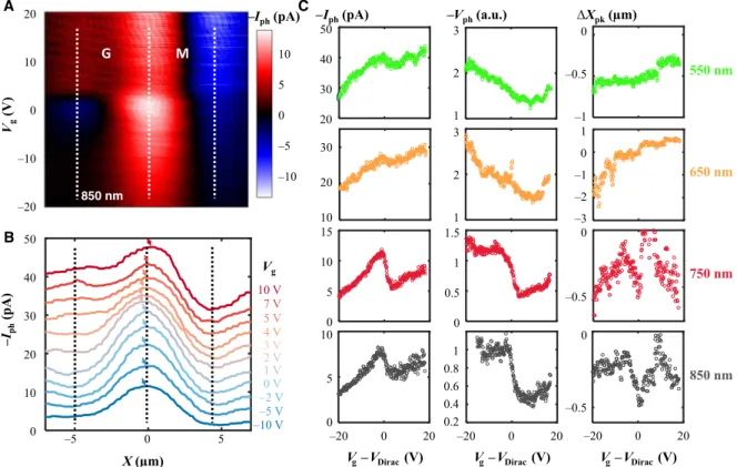 Fig. 2. Gate-dependent SPCM measurements of the device. (A) Gate voltage (V g )–linecut (X) mapping of the photocurrent (I ph ) under an 850-nm laser excitation