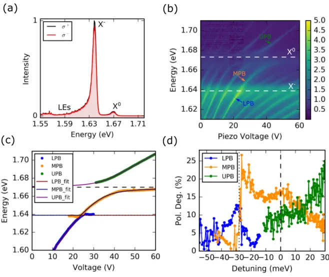 FIG. S6. Data for second sample consisting of hBN/MoSe2 heterostructure. (a) PL spectra of MoSe 2 under σ + excitation and co- (black) and cross- (black) polarized detection