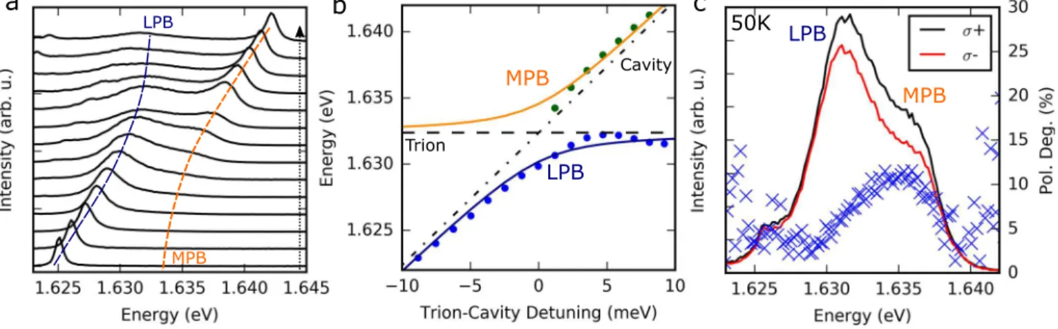 FIG. 3. Valley-polarised trion-polaritons. a Anticrossing between trion and cavity mode at 50 K for sample 3