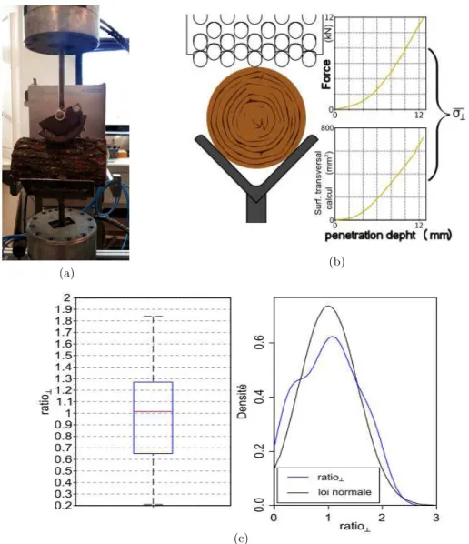 Fig. 7. Experimental characterization of σ ⊥ .