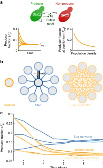 Fig. 1 Heterogeneous metapopulation structure increases the fraction of producers. a Schematic of the public-goods game
