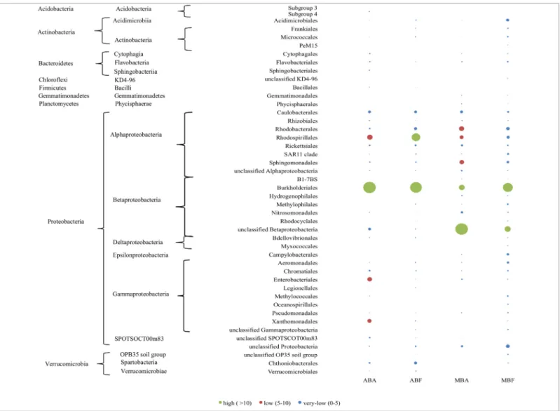 Fig 4. Distribution of the first 100 dominant bacteria OTUs at the order level, expressed as the proportion of the average number of reads obtained from each sample after normalization to the smallest sample