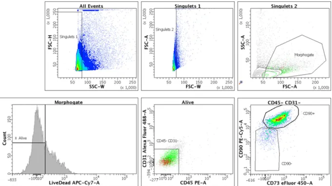 Figure 1.  rDPSCs phenotype by flow cytometry. The expression of a series of cell surface markers associated  with the mesenchymal stem cell (MSC) phenotype was investigated using flow cytometry