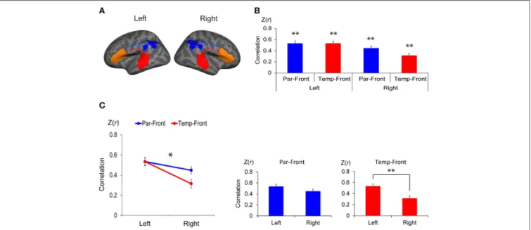 FIGURE 4 | Functional connectivity between the anterior and posterior cortical ends of the arcuate fasciculus (AF) in each hemisphere