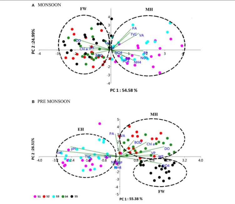 FIGURE 6 | Principal component analysis (PCA) biplot representing the distribution of biological parameters and interrelationships of