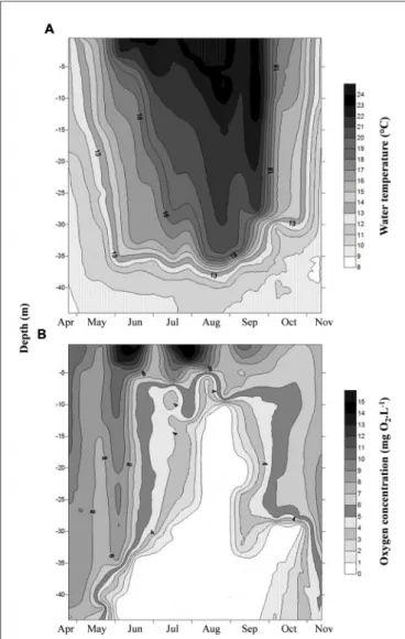 FIGURE 1 | Spatio-temporal variation of (A) water temperature and (B) dissolved oxygen concentration in the water column of Villerest reservoir from April to November 2012.