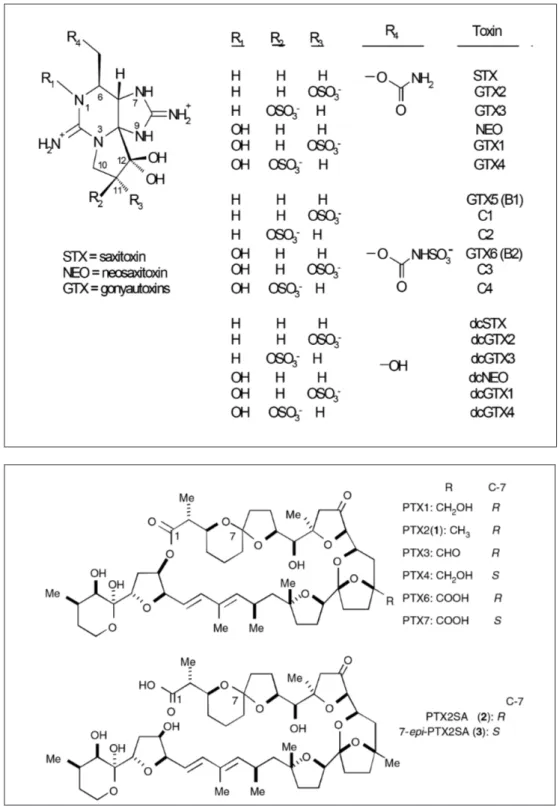 Fig. 8: Chemical structures   of STX and GTX  