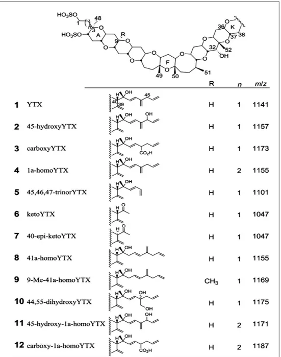 Fig. 10: Chemical structures  of some yessotoxins  Reproduced with permission  from (EFSA, 2008b).